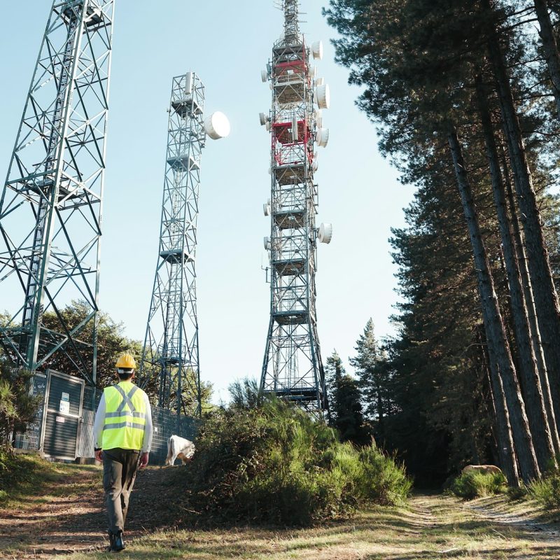 Technical maintenance goes to the telecommunications antennas